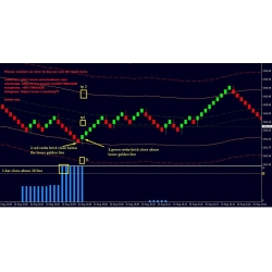 98% Accurate No Repaint Renko Reversal System Indicator