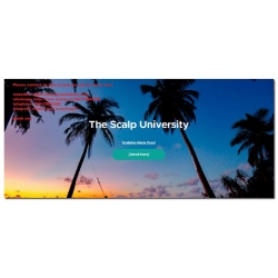 The Scalp University [Scalping Made Easy!] ( Video + PDF Course) (Total size:3.90 GB Contains:5 folders 27 files)