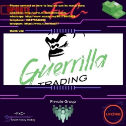 Forex Course - Guerrilla Trading Strategy (Total size: 1.41 GB Contains: 4 folders 24 files)