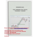 The Orderflows Delta Trading Course