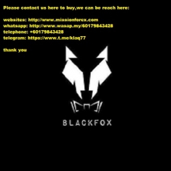 Blackfox Academy (Malaysian SNR)