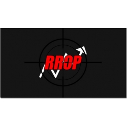 RROP Course 2023  (Total size: 8.21 GB Contains: 2 folders 94 files)