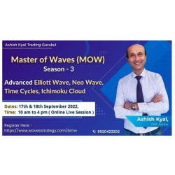 Ashish Kyal 2022 Master of Waves Course