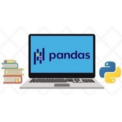 The Ultimate Pandas Bootcamp Advanced Python Data Analysis by Andy Bek | Udemy