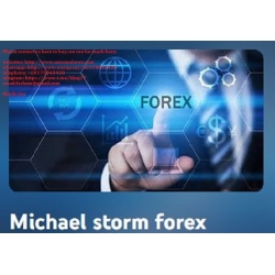 Michael Storm Forex Basics for Beginners,Introduction to MT4 Forex Trading, Tips, tricks, charts & more (Total size: 369.4 MB Contains: 8 files)