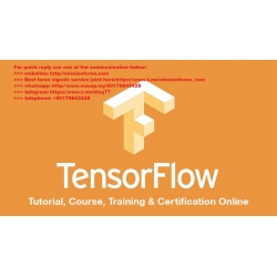 Detect Fraud and Predict the Stock Market with TensorFlow Total size:1.10 GB Contains:6 folders 79 files