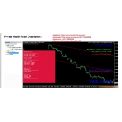 Private Wealth Robot - Unlimited Version (Total size: 5.8 MB Contains: 5 folders 28 files)
