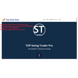 Top Trade Tools - Top Swing Trader Pro (Total size: 1.12 GB Contains: 8 folders 16 files)