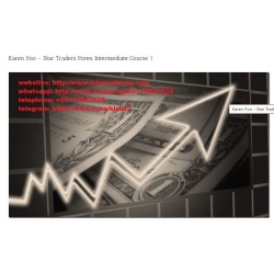 Karen Foo – Star Traders Forex Intermediate Course 1 (Total size: 6.67 GB Contains: 11 folders 59 files)