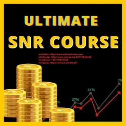 Awie SNR Course (with ENGLISH Subtitles) (Total size: 362.3 MB Contains: 6 files)