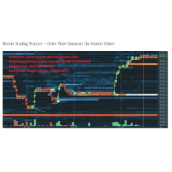 Bitcoin Trading Practice - Order Flow Outsmart the Market Maker (Total size: 1.51 GB Contains: 1 folder 12 files)