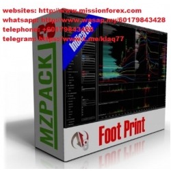 MZpack 3.18.8 for NinjaTrader 8  (Total size: 13.5 MB Contains: 1 folder 7 files)