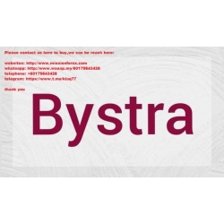 Nora Bystra Mentorship (Total size: 1.01 GB Contains: 9 files)