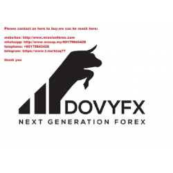 DOVYFX – ADVANCED Trading Course (Total size: 1.29 GB Contains: 8 folders 31 files)