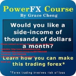 Grace Cheng - The PowerFX Course (gracecheng.com) (Total size: 3.6 MB Contains: 2 folders 56 files)